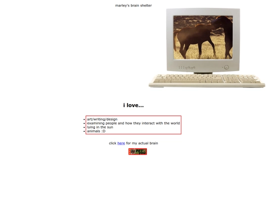testhome screenshot