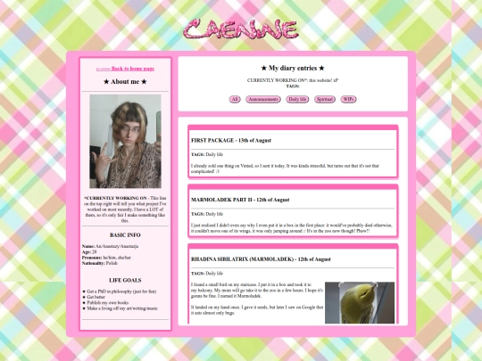 diary screenshot