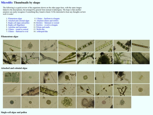 microlife/thumbnails screenshot
