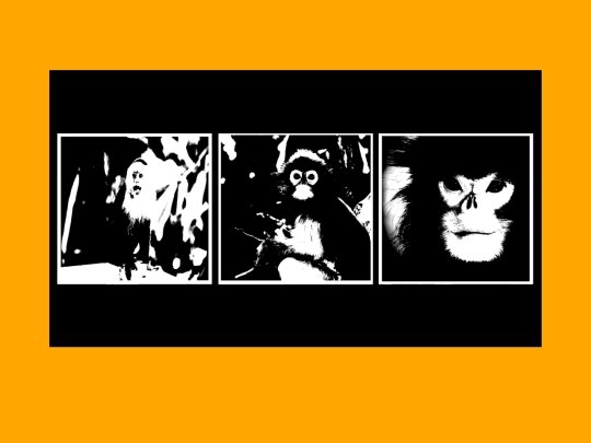 monkey screenshot
