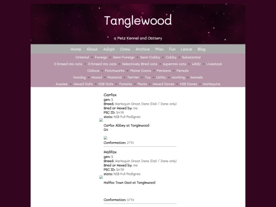 Website screenshot