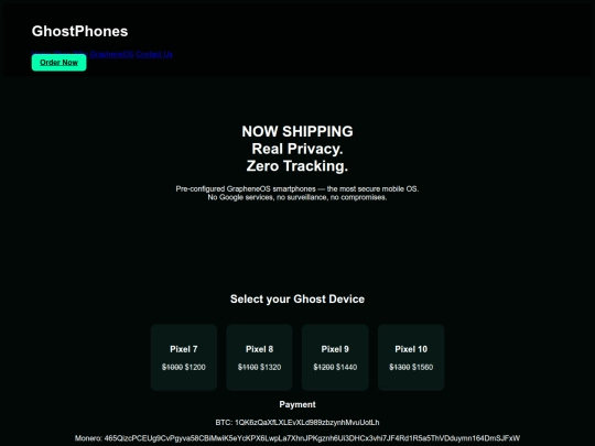 Website screenshot