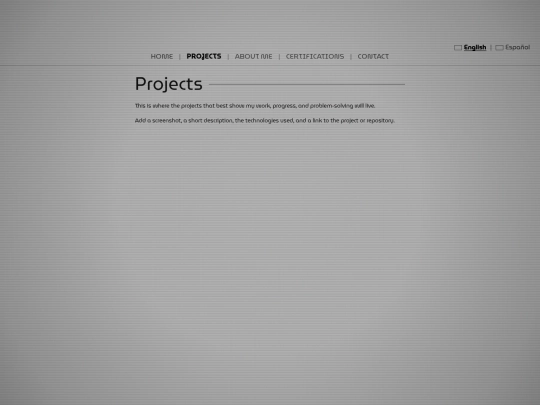 projects screenshot