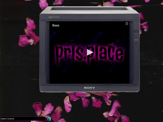 tv/random screenshot