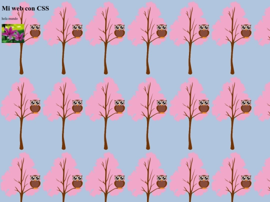 curso/css10feb_3 screenshot