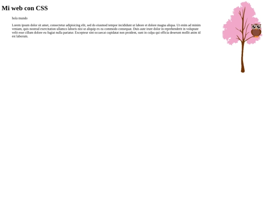 curso/css10feb_4 screenshot