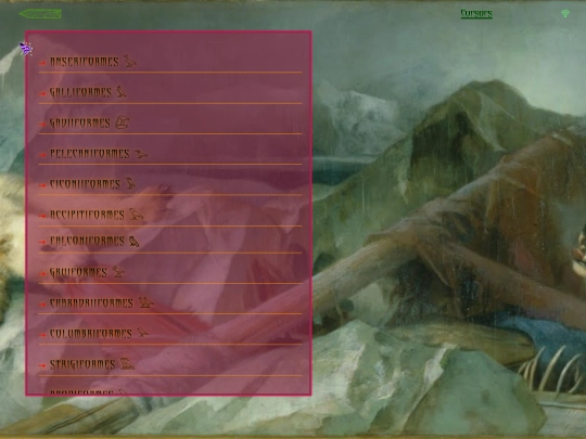 testbird screenshot