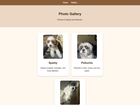 gallery screenshot
