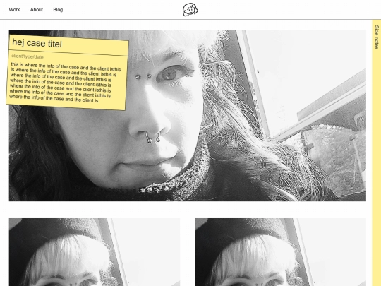 case_template screenshot