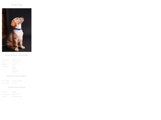 testing screenshot