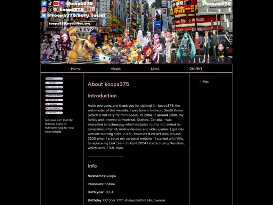 Website screenshot