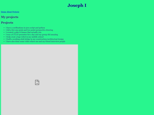 projects screenshot
