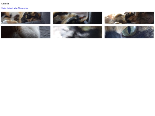 Animals screenshot