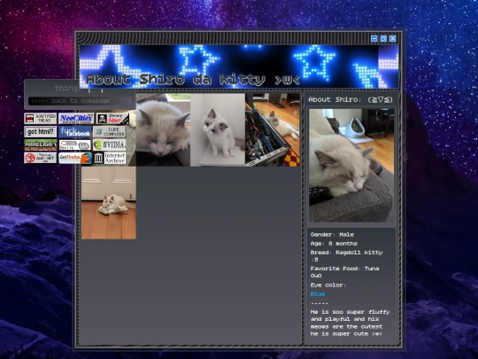 kitty screenshot