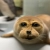 fissa1desktop.neocities.org avatar