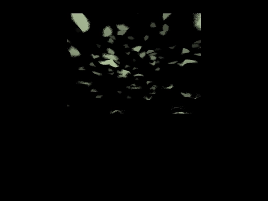 lepidopterarium screenshot