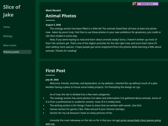 writing/blog screenshot