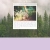 strangebeast.neocities.org avatar