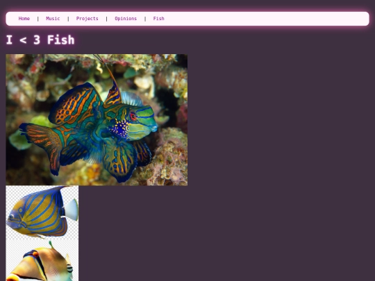 fish screenshot