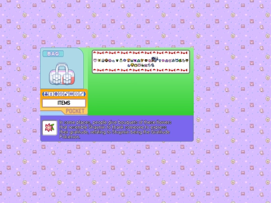 bag screenshot