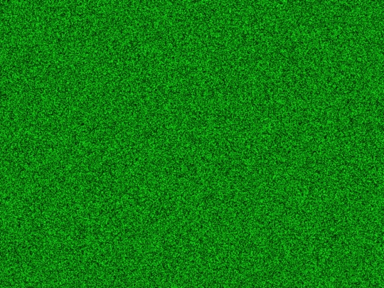 static screenshot