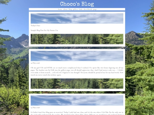 blog screenshot