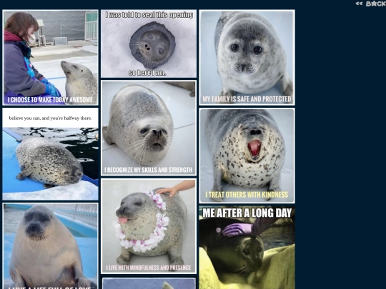 sealffirmations screenshot