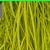 bugspotting.neocities.org avatar