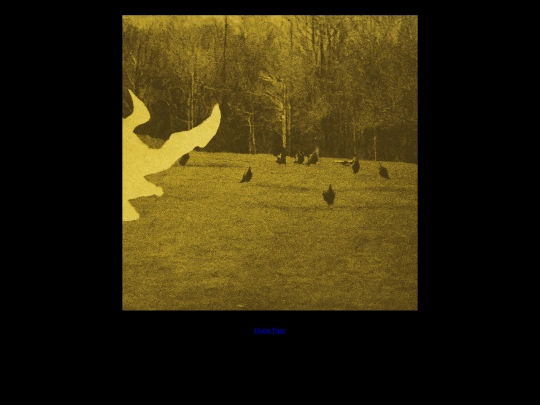 backyard screenshot