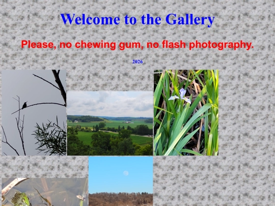 gallery/gallery screenshot