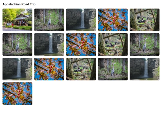 albumtest screenshot