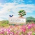 sunera-sae.neocities.org avatar