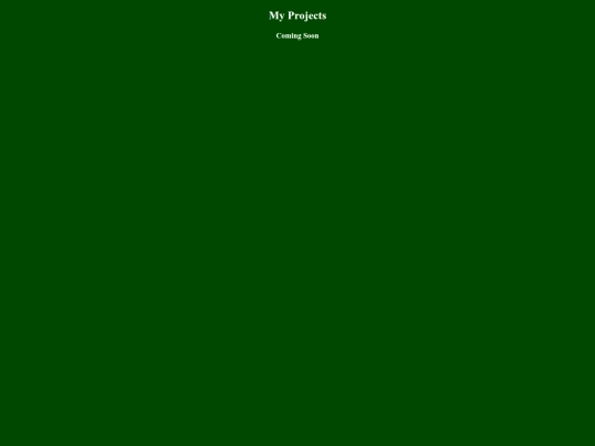 pages/projects screenshot