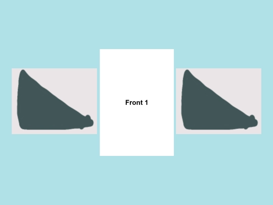 test screenshot
