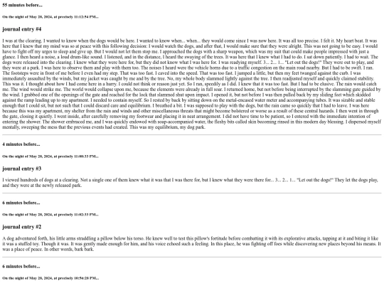 journal_entries/journal_entry28 screenshot
