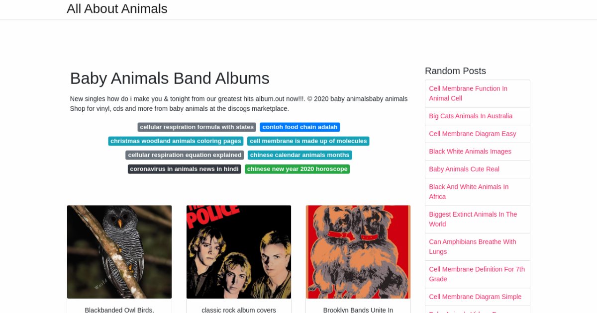 Baby Animals Band Albums