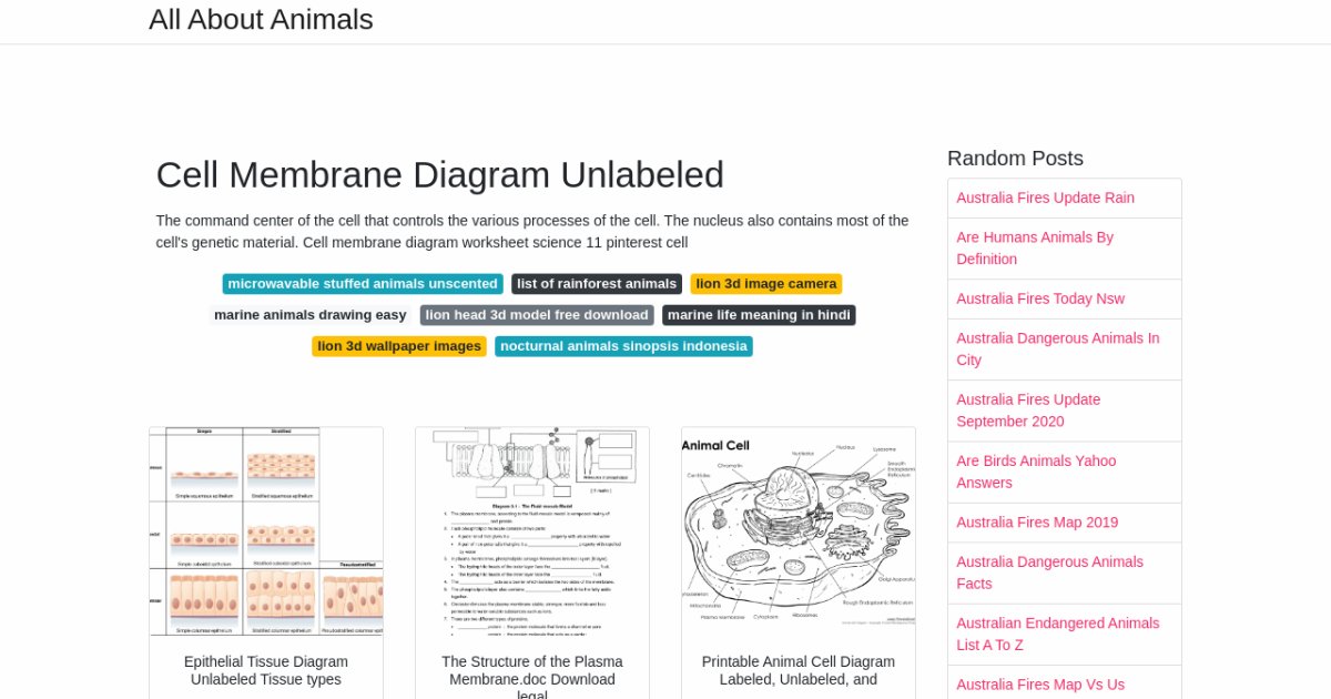 Cell Membrane Diagram Unlabeled cell-membrane-diagram-unlabeled