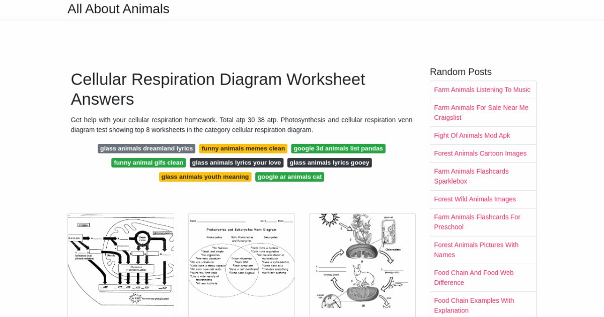 cellular respiration homework and study guide answers