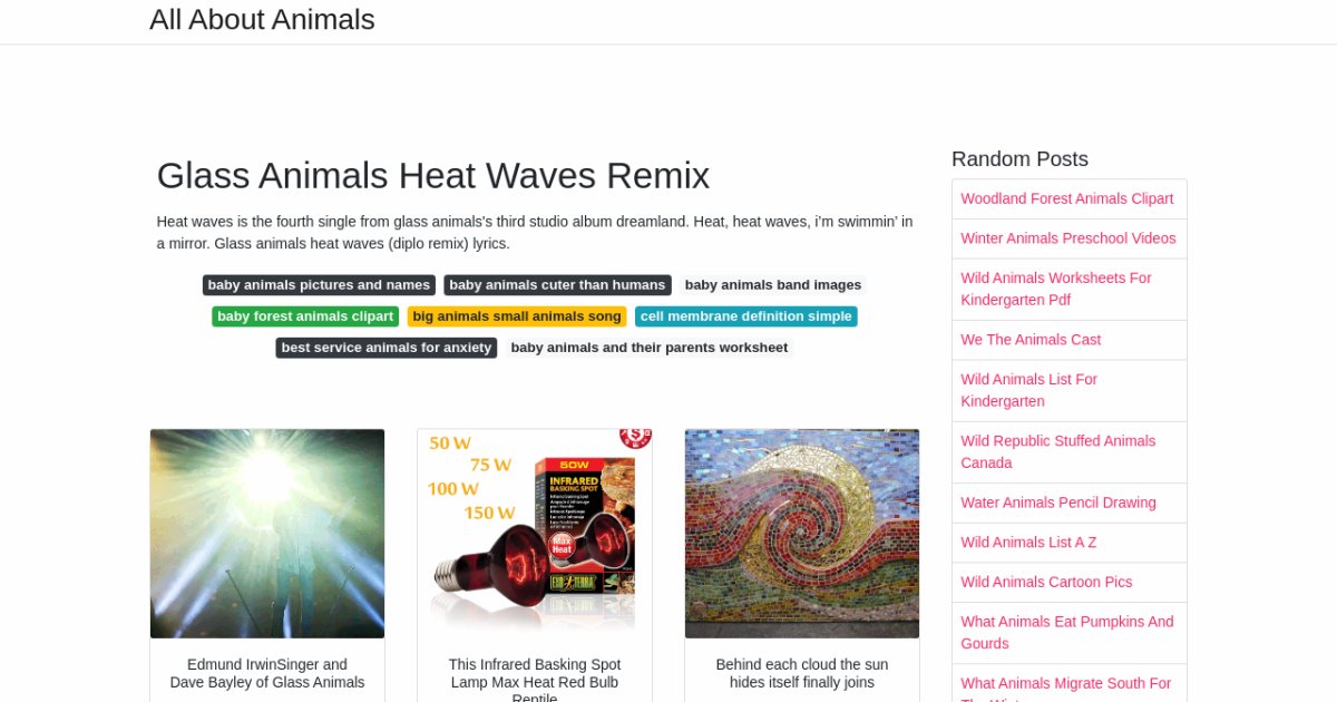Glass Animals Heat Waves Remix