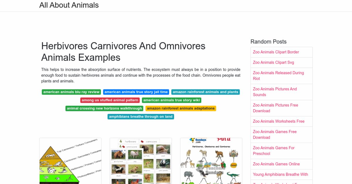 Herbivores Carnivores And Omnivores Animals Examples