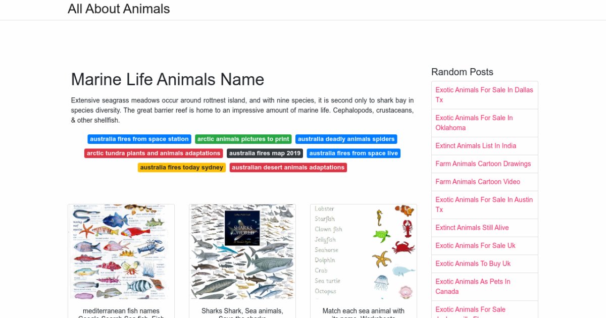 Marine Life Animals Name