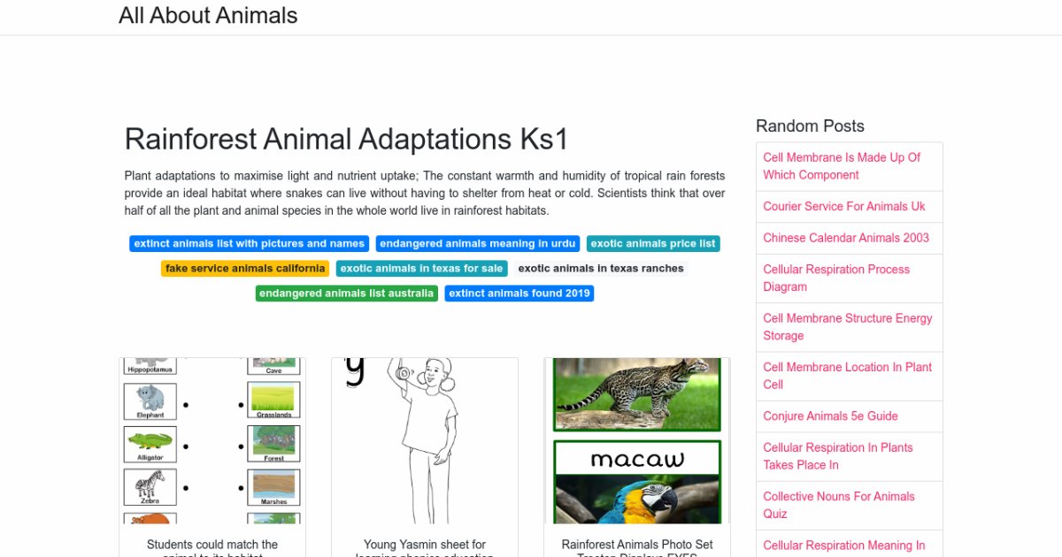 Rainforest Animal Adaptations Ks1