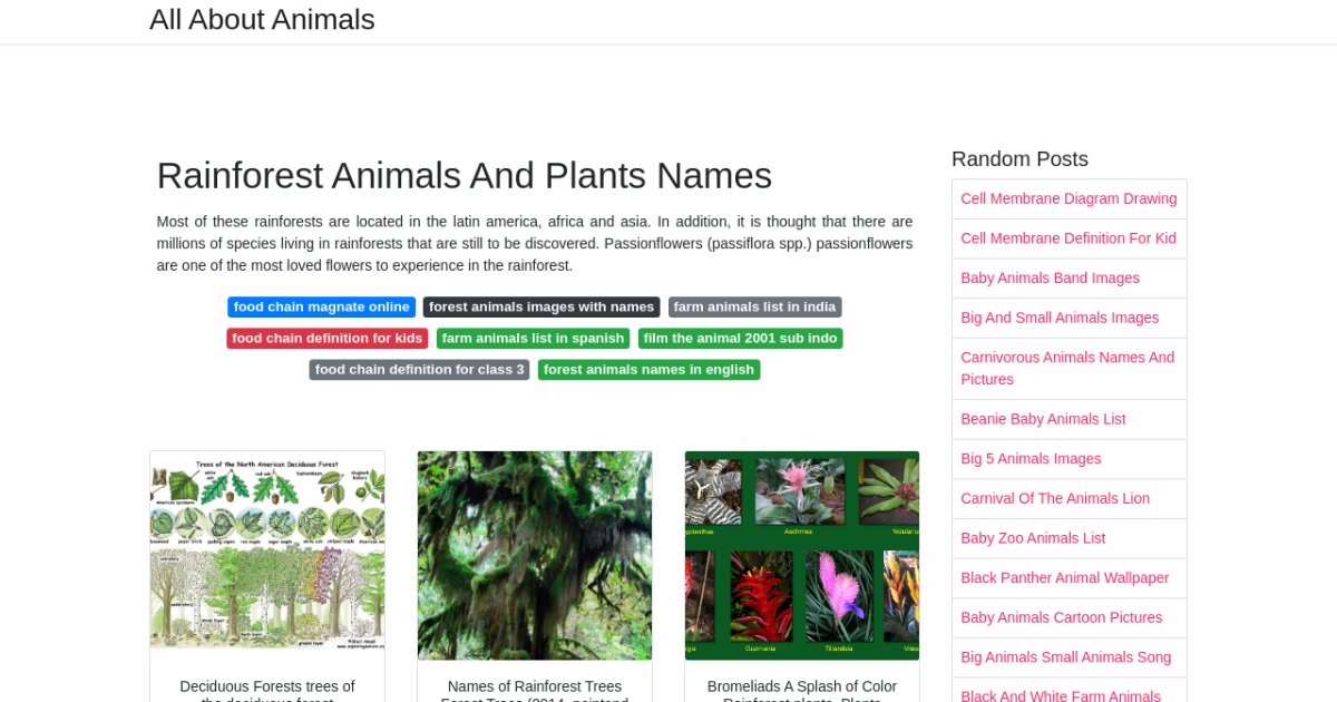 Rainforest Animals And Plants Names