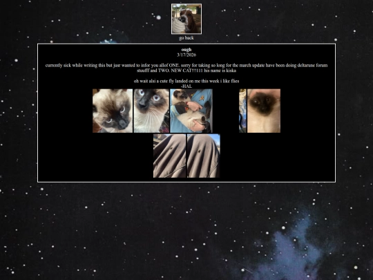blogposts/post7 screenshot