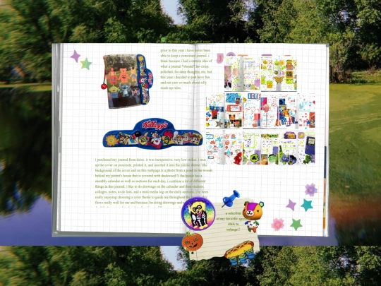 journal screenshot