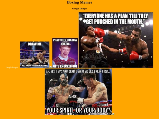 site16 screenshot