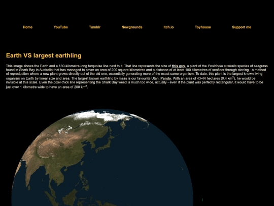 sharkbay screenshot