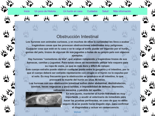 enfermedades/obs screenshot