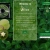 folium.neocities.org avatar