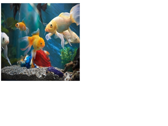 kendallbrownellflexiblepuzzle screenshot